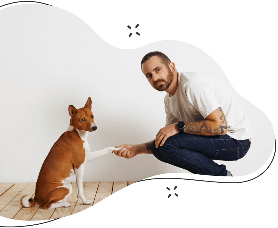 https://dev.bohoandbarkpetgrooming.com/wp-content/uploads/2019/08/hero_image_07-1.png