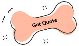 https://dev.bohoandbarkpetgrooming.com/wp-content/uploads/2019/08/text_06-1.png