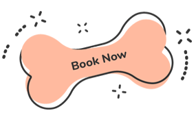 Book Now https://dev.bohoandbarkpetgrooming.com/wp-content/uploads/2019/08/text_07-1.png