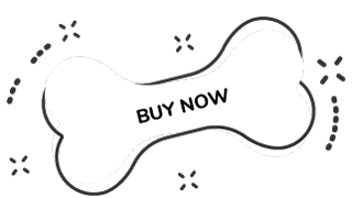 https://dev.bohoandbarkpetgrooming.com/wp-content/uploads/2019/08/text_08-1.png