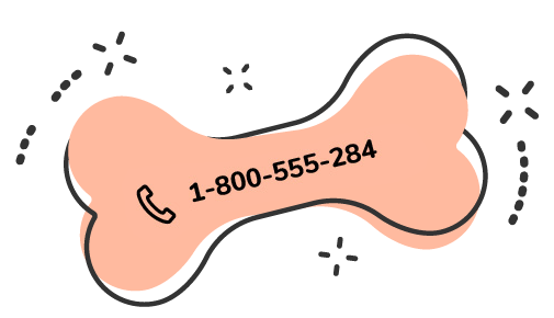 https://dev.bohoandbarkpetgrooming.com/wp-content/uploads/2019/09/text_pink_01-1.png