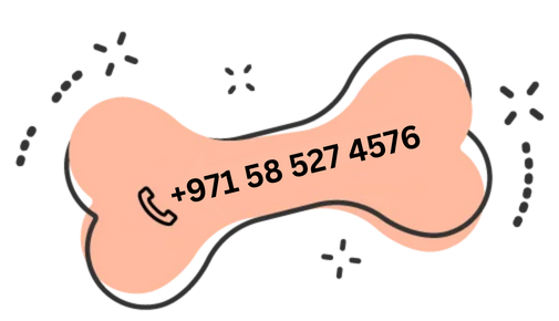 https://dev.bohoandbarkpetgrooming.com/wp-content/uploads/2026/01/971-58-527-4576-1.png