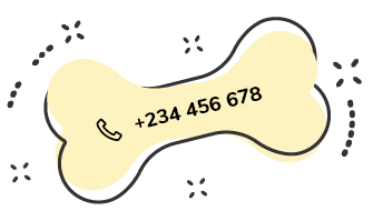 https://dev.bohoandbarkpetgrooming.com/wp-content/uploads/2026/05/text_04.png